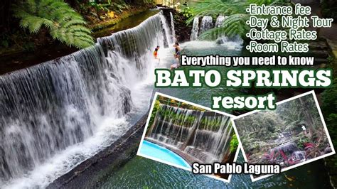 bato springs resort reviews|BATO SPRINGS: All You Need to Know BEFORE You Go (with Photos).